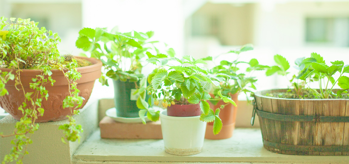 奈良市西大寺国見町 大和西大寺駅 内科 小児科 外科